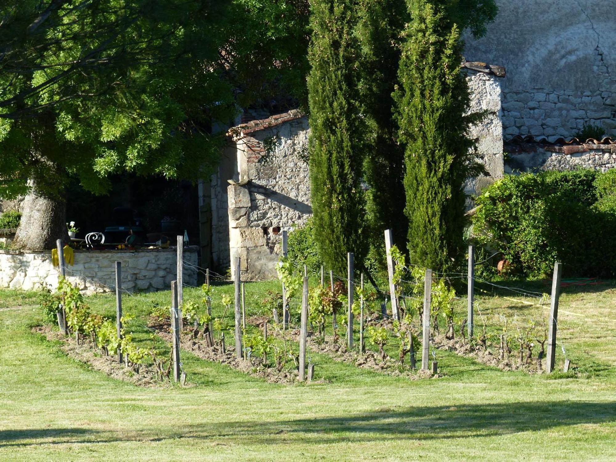 Domaine De La Monestarie - Teritoria Hotel Bernac  Bagian luar foto