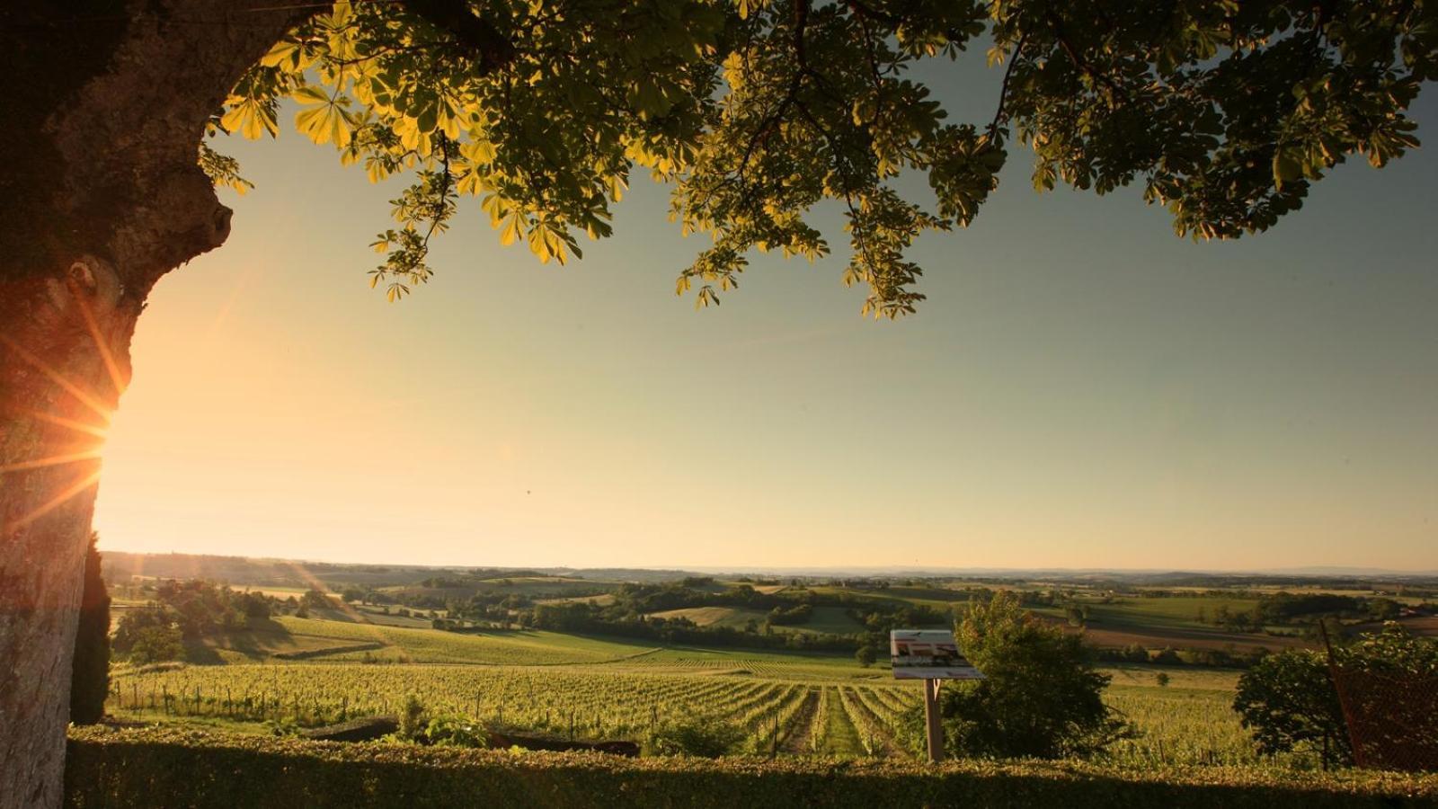 Domaine De La Monestarie - Teritoria Hotel Bernac  Bagian luar foto