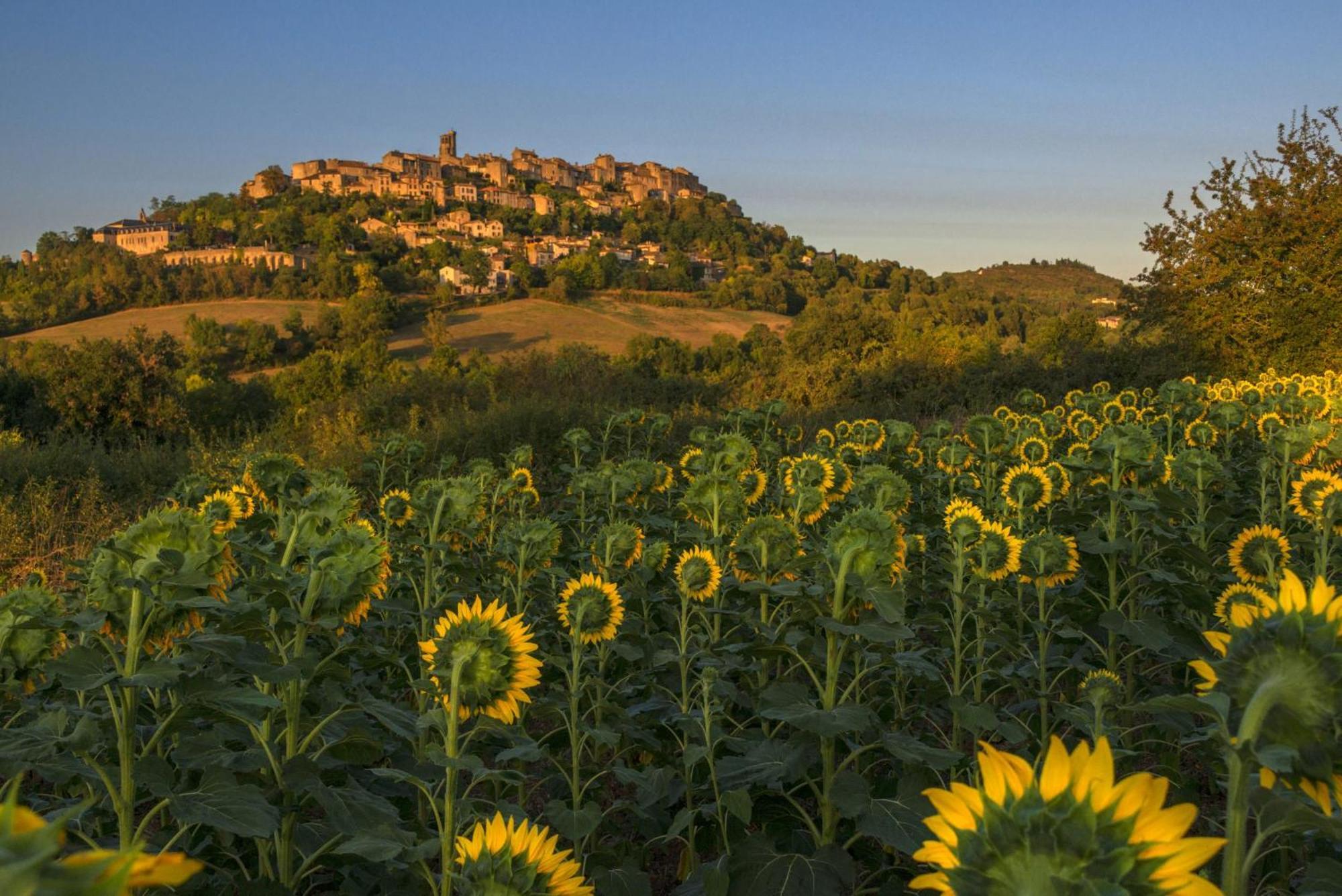 Domaine De La Monestarie - Teritoria Hotel Bernac  Bagian luar foto